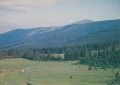 IMG_0001.jpg