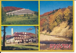 Wysowa - 010009