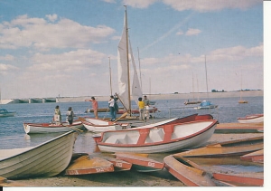 Zalew Sulejowski - 010117