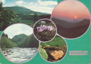 Bieszczady - 010157
