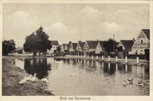 Dąbrowa panorama - Reprodukcja 31879
