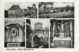 Drągowina widokowa - Reprodukcja 31887