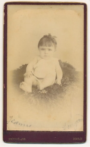 CDV Fotografia wizytowa - 3199