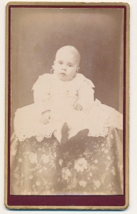 CDV Fotografia wizytowa - 3240