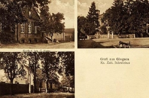 Głogusz widokowa - Reprodukcja 31933