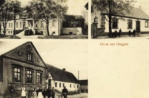 Głogusz widokowa - Reprodukcja 31934