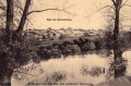 31970 (Copy).jpg