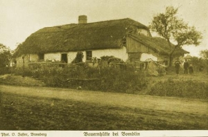 Bąblin - Reprodukcja 31983