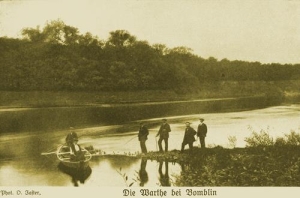 Bąblin - Reprodukcja 31984