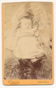 CDV Fotografia wizytowa - 3850