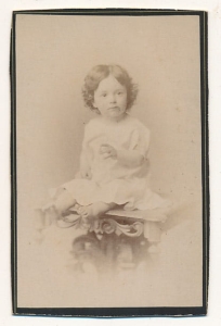 CDV Fotografia wizytowa - 3884