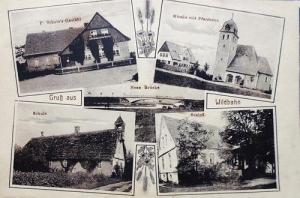 Wróbliniec widokowa - Reprodukcja 32061