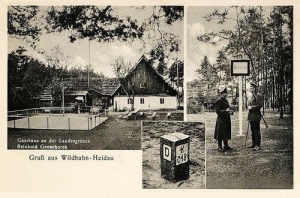 Wróbliniec widokowa - Reprodukcja 32062