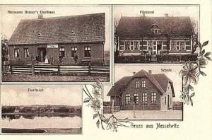 Niesułowice - Reprodukcja 32093
