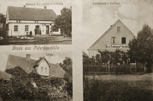 Piotrokosice widokowa - Reprodukcja 32098
