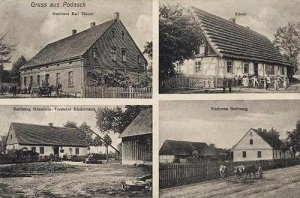 Potasznia widokowa - Reprodukcja 32103
