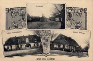 Potasznia widokowa - Reprodukcja 32104