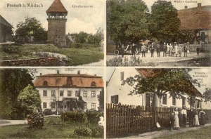 Pracze widokowa - Reprodukcja 32106