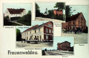 Bukowice widokowa - Reprodukcja 32131