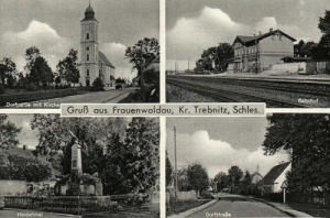 Bukowice widokowa - Reprodukcja 32136