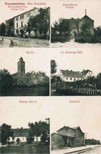 Bukowice widokowa - Reprodukcja 32138