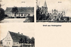 Dziewiętlin widokowa - Reprodukcja 32145