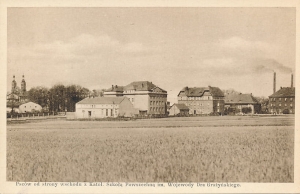 Pszów panorama - 011131