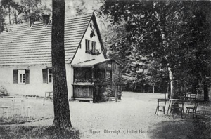 Oborniki Śląskie - Reprodukcja 32155