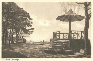 Oborniki Śląskie - Reprodukcja 32161