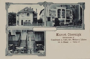 Oborniki Śląskie - Reprodukcja 32162