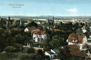 Oborniki Śląskie - Reprodukcja 32179