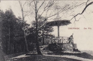 Oborniki Śląskie - Reprodukcja 32189