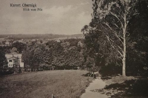 Oborniki Śląskie - Reprodukcja 32190