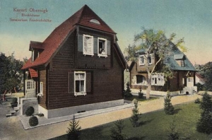Oborniki Śląskie - Reprodukcja 32203