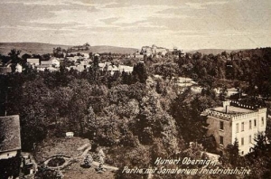 Oborniki Śląskie - Reprodukcja 32206