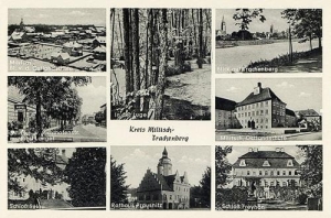Prusice widokowa - Reprodukcja 32251