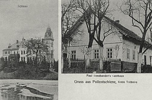 Boleścin widokowa - Reprodukcja 32280