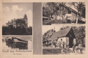 Boleścin widokowa - Reprodukcja 32281
