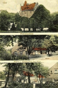 Boleścin widokowa - Reprodukcja 32282