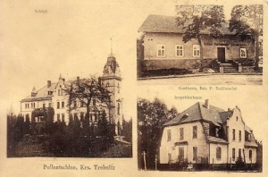 Boleścin widokowa - Reprodukcja 32283