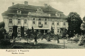 Budzicz pałac - Reprodukcja 32287