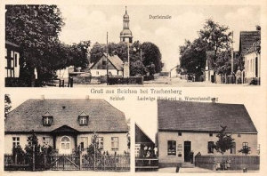 Bychowo widokowa - Reprodukcja 32289