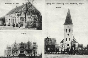 Cerekwica widokowa - Reprodukcja 32291