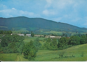 Skrzydlna - 010461