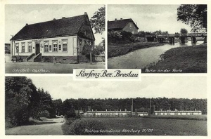 Korzeńsko widokowa - Reprodukcja 32343