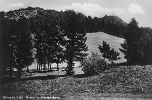 Strzegom - Reprodukcja 32390
