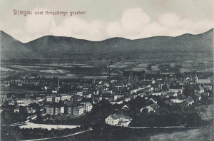 Strzegom panorama - Reprodukcja 32430