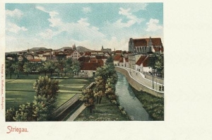 Strzegom panorama - Reprodukcja 32434