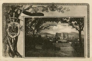 Strzegom panorama - Reprodukcja 32437