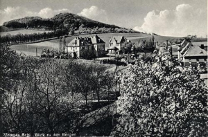 Strzegom panorama - Reprodukcja 32439